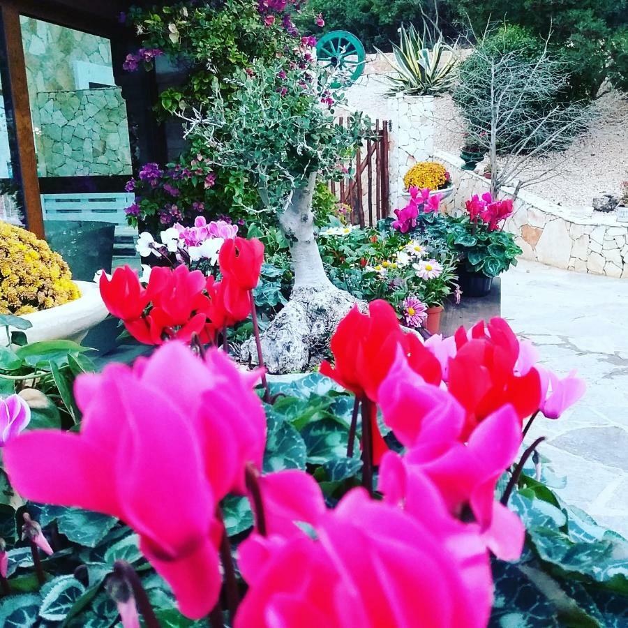 B&B Da Pia Uta 외부 사진